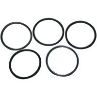 AGCO 70926620 Уплотнительное кольцо гидравлического насоса