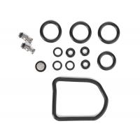 AGCO F210962020050 Комплект сальников рулевого управления