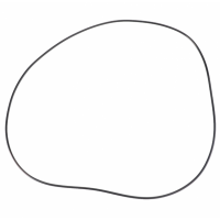 AGCO 3011775X1 Кольцо