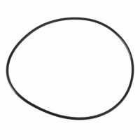 AGCO ACP0494740 Уплотнительное кольцо