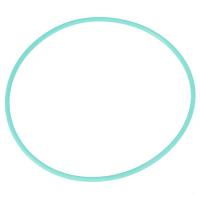 AGCO X548994700000 Уплотнительное кольцо масляного насоса