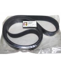 AGCO 4348738M1 Поликлиновой ремень